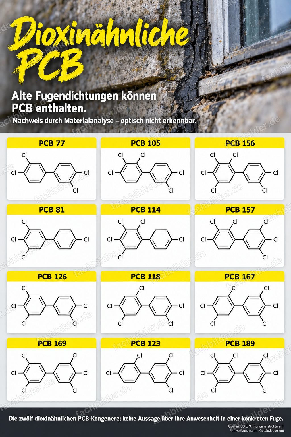 Dioxinähnliche PCB in alten Fugendichtungen