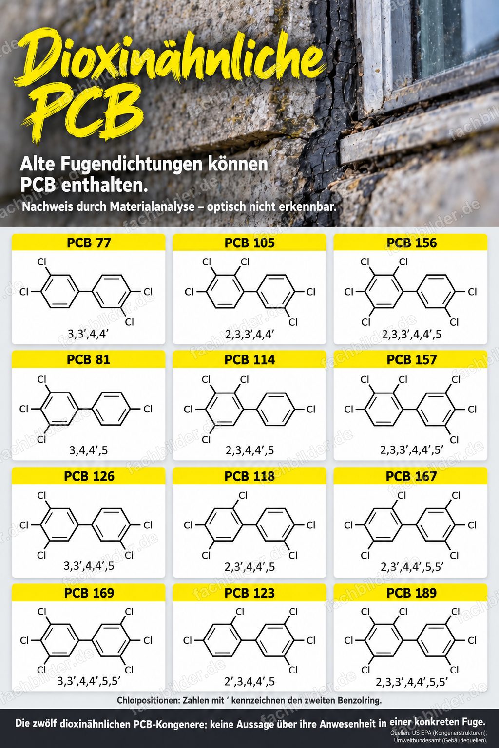 Dioxinähnliche PCB: die 12 Kongenere