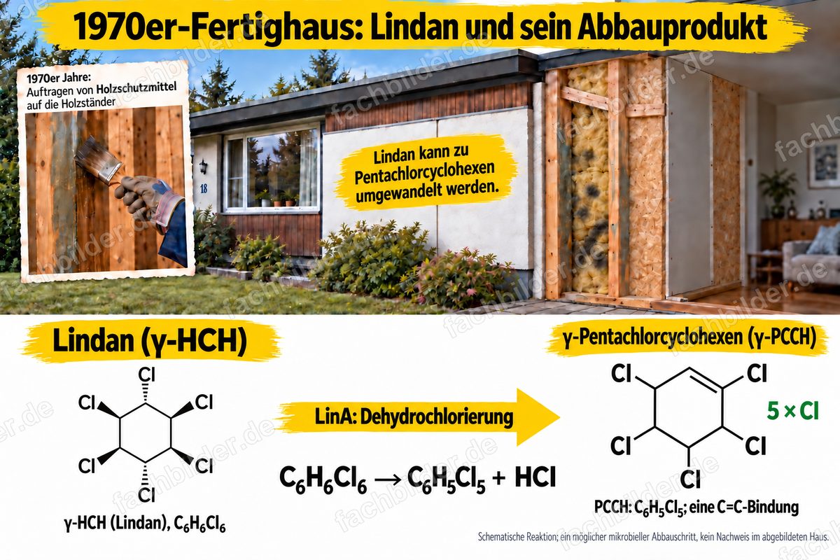 Lindan und γ-PCCH: Dehydrochlorierung durch LinA