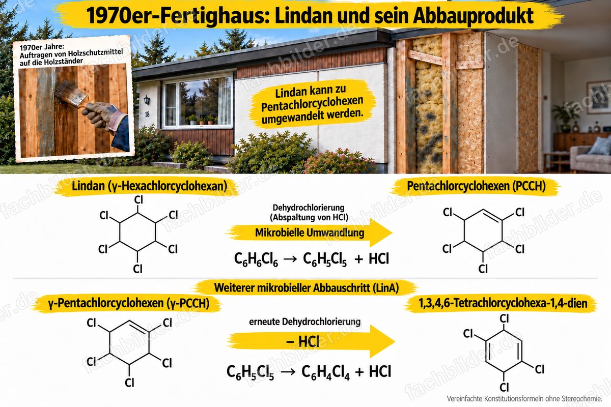 Lindan und sein Abbauprodukt: 2 Abbauschritte